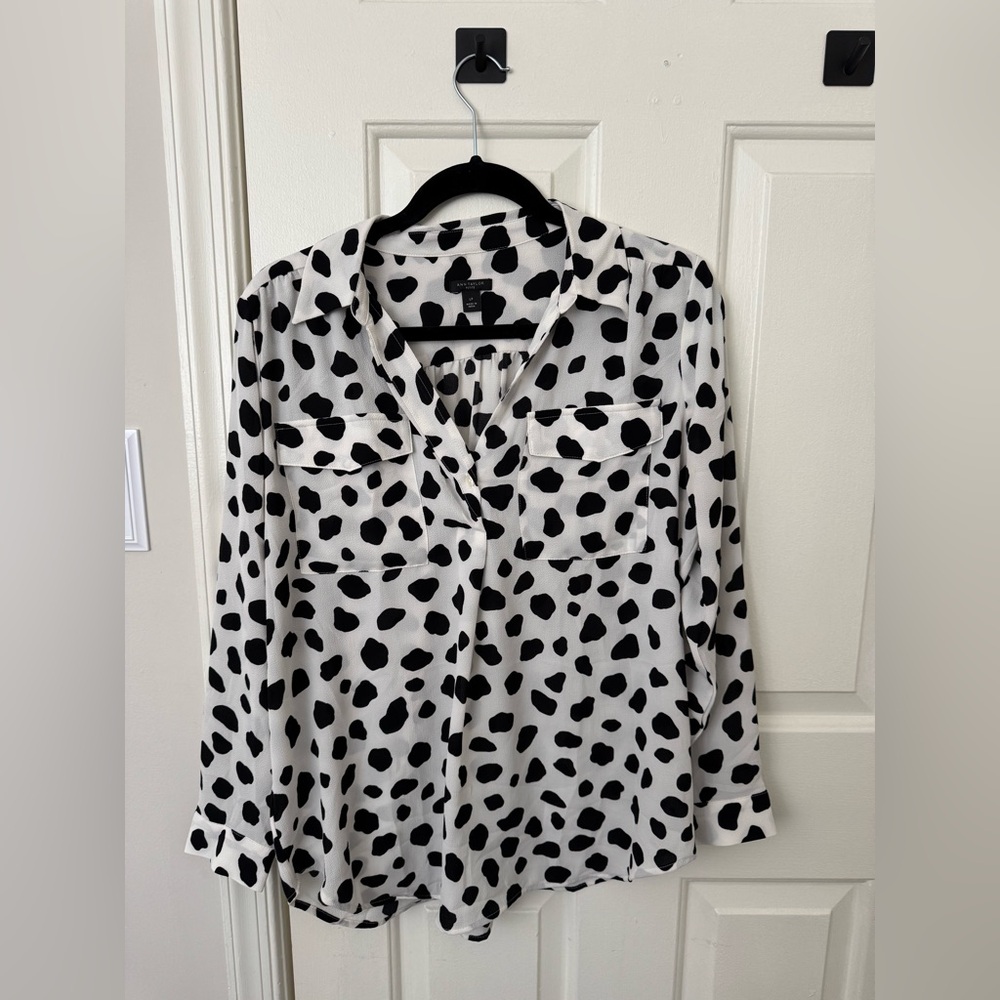 Ann Taylor Dress Shirt